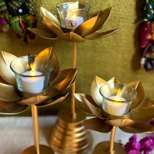 Lotus Set of Three